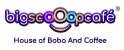big scoop case